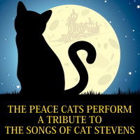 The Songs of Cat Stevens