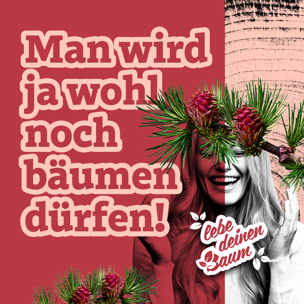 Lebe deinen Baum – Patenschaft