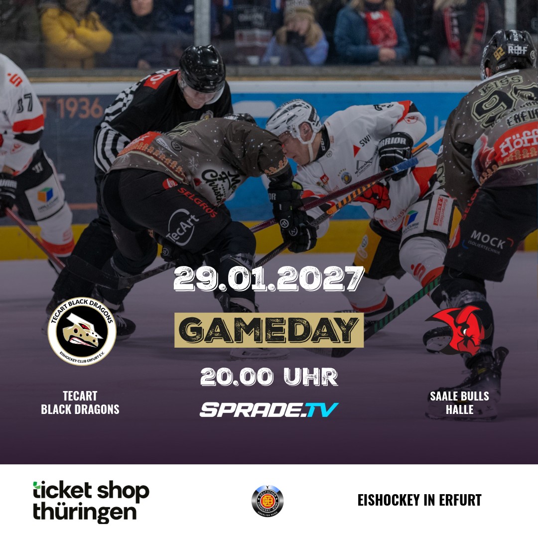 TecArt Black Dragons vs. Saale Bulls Halle