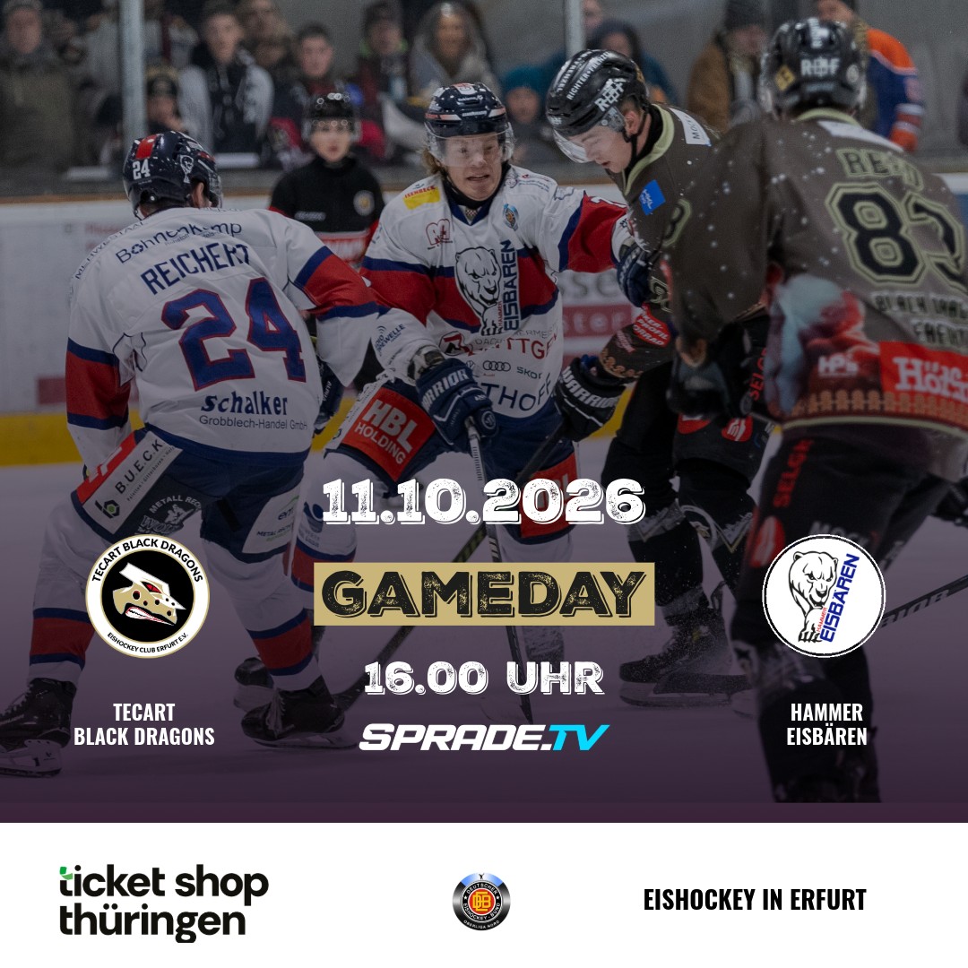 TecArt Black Dragons vs. Hammer Eisbären