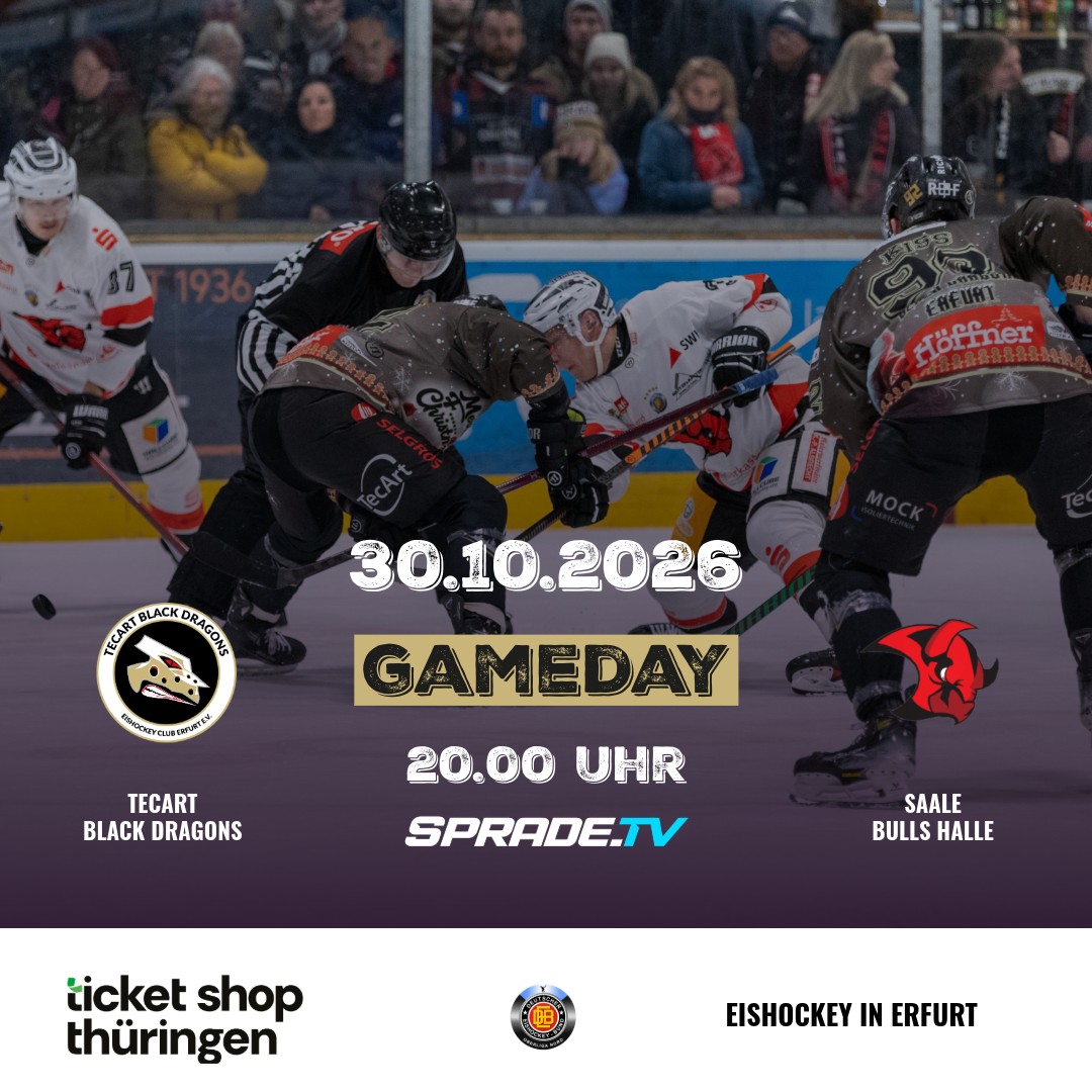 TecArt Black Dragons vs. Saale Bulls Halle