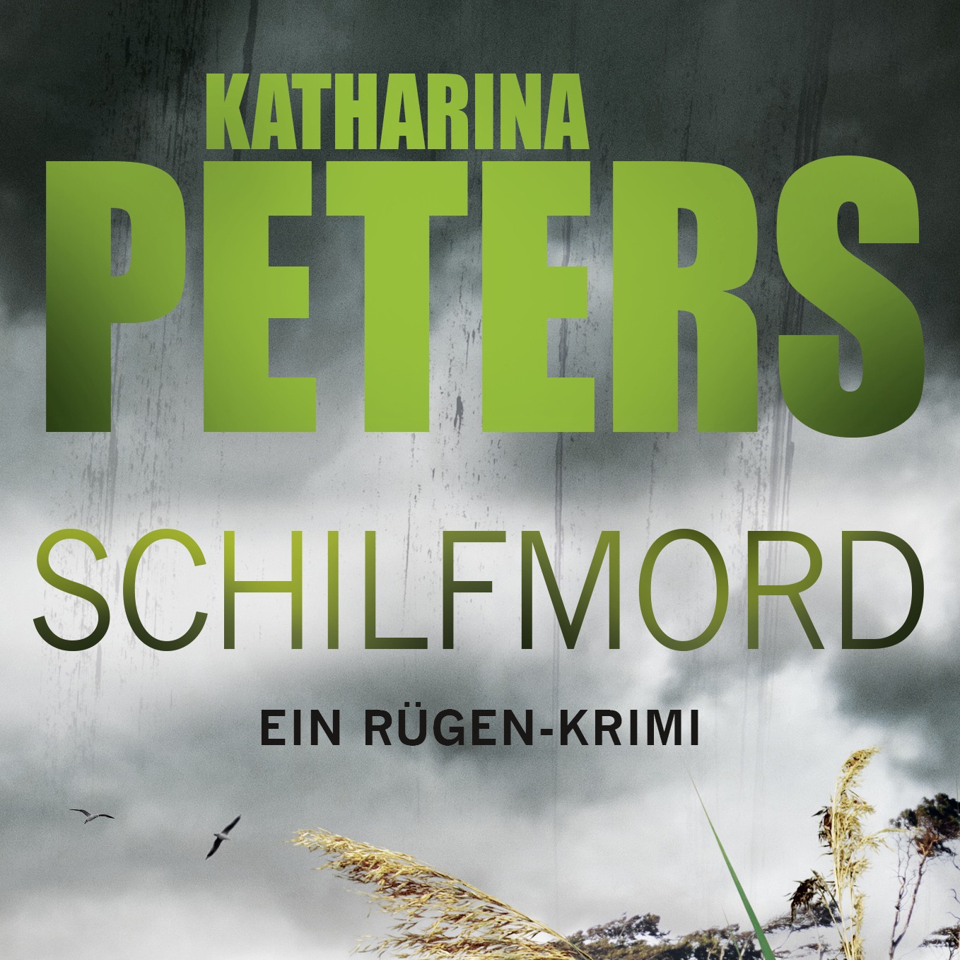 Katharina Peters: Schilfmord